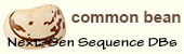 Common bean logo