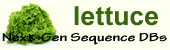Lettuce logo