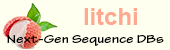 Litchi logo