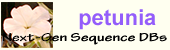Petunia ax. logo