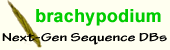 Brachypodium logo