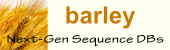 Barley logo